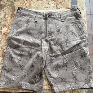 Abercrombie Kids Gray Pineapple Print Shorts